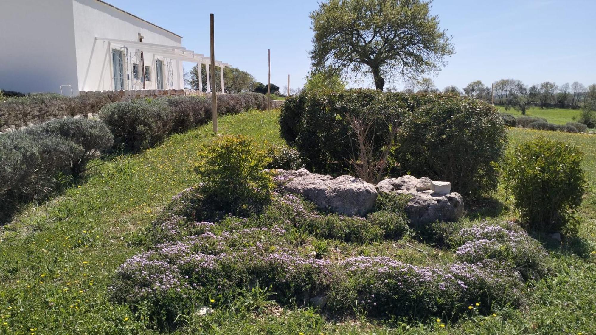 Trullo Dimora Podere Papilio Noci Extérieur photo
