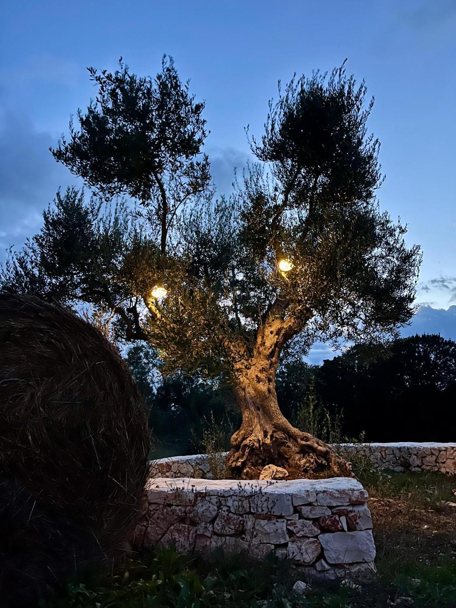 Trullo Dimora Podere Papilio Noci Extérieur photo